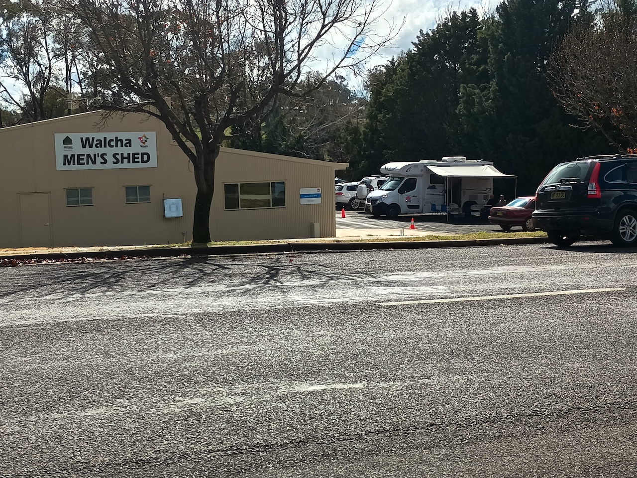 Health and wellness check